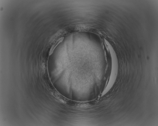 X0000062610716200601111008