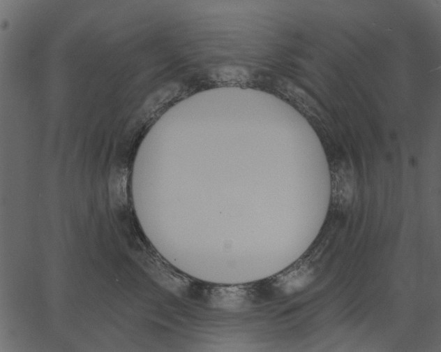 X0000062610717200601111008