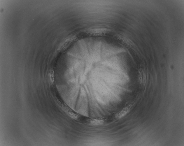 X0000062610718200601111008