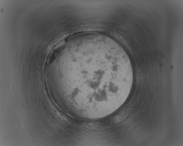 X0000062610721200601111007