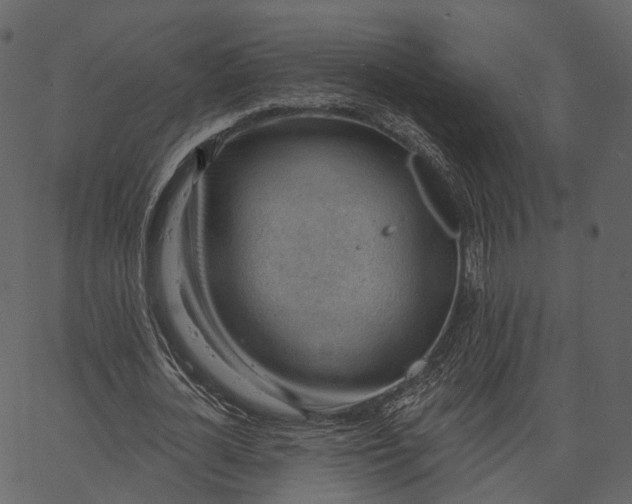 X0000062610724200601111007