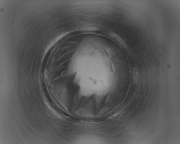 X0000062610726200601111008