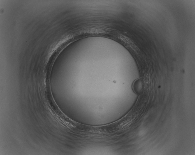 X0000062610727200601111008