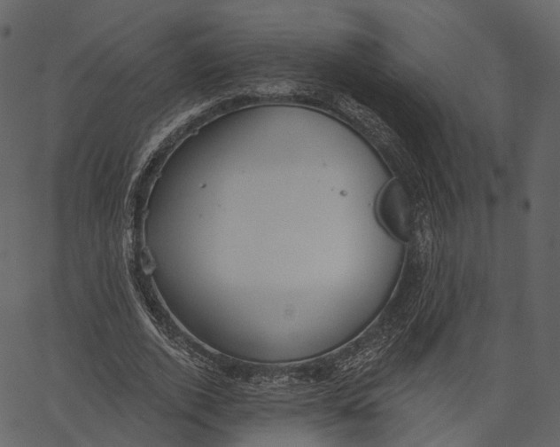 X0000062610728200601111008