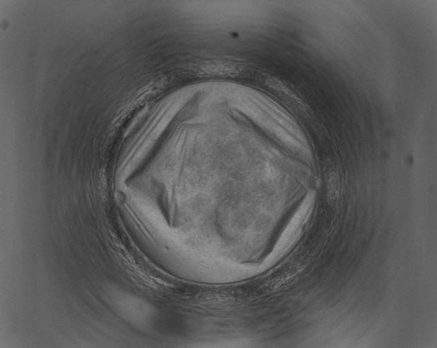 X0000062610729200601111008