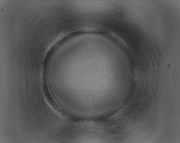 X0000062610730200601111008