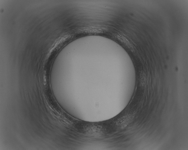 X0000062610731200601111008