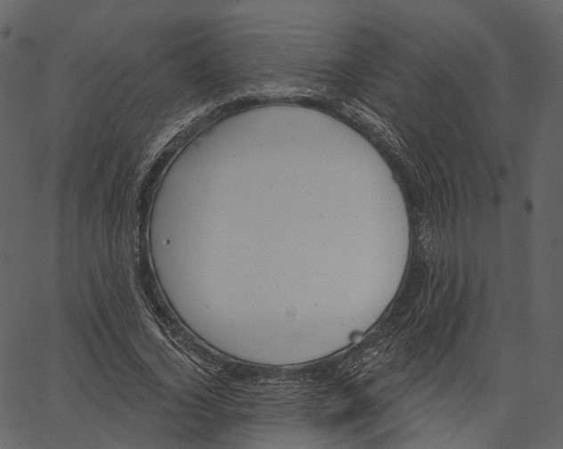 X0000062610732200601111008