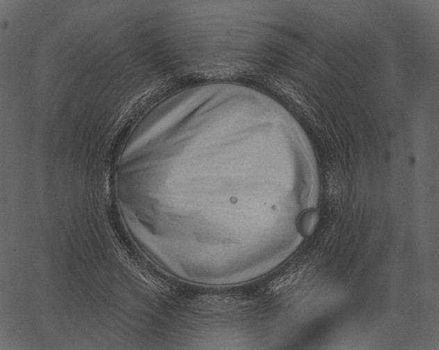 X0000062610733200601111008