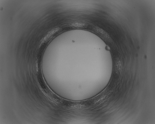 X0000062610734200601111008