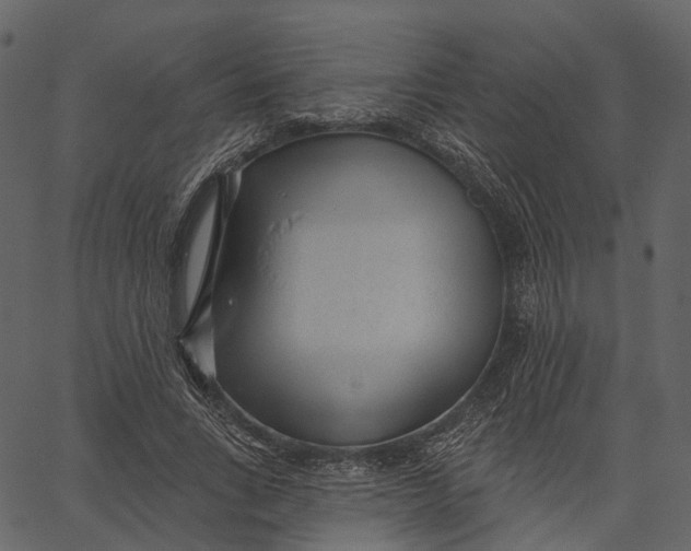 X0000062610735200601111008