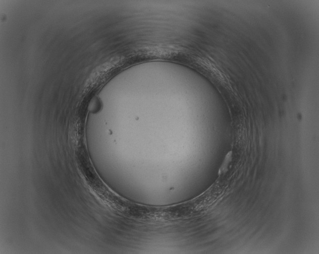 X0000062610736200601111008