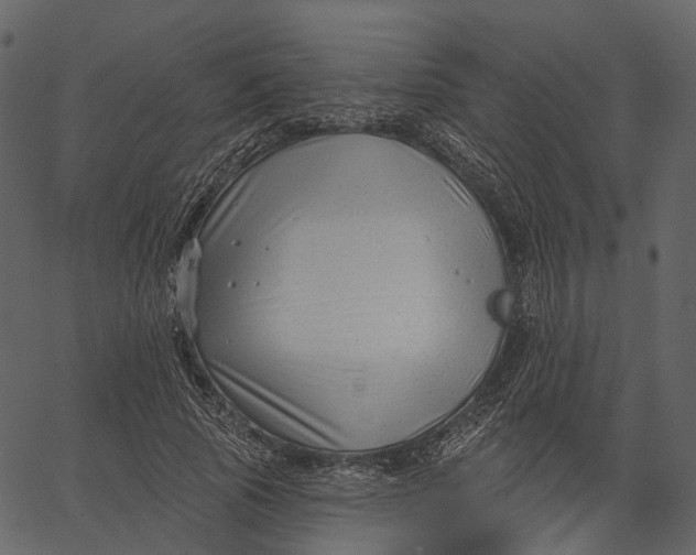 X0000062610737200601111008