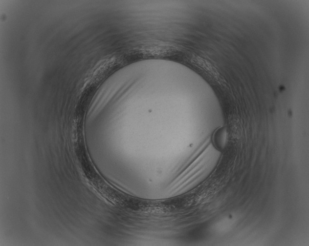 X0000062610738200601111008