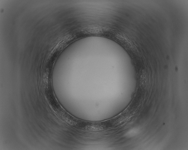 X0000062610739200601111008