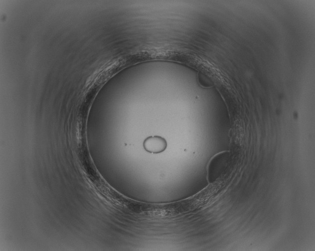 X0000062610740200601111008