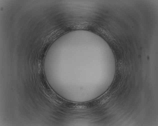 X0000062610741200601111008