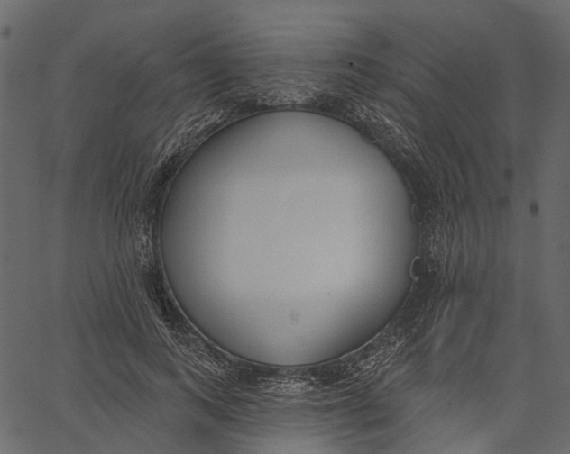 X0000062610743200601111008