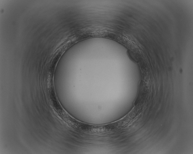 X0000062610744200601111008