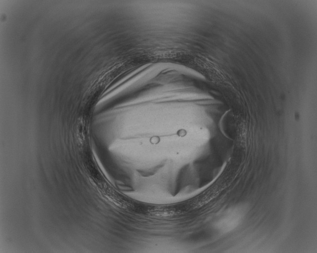 X0000062610746200601111008