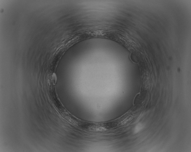 X0000062610747200601111008