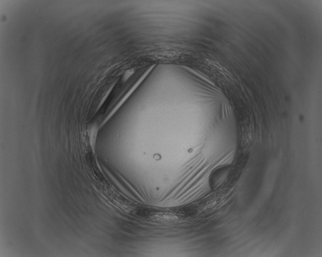 X0000062610749200601111008