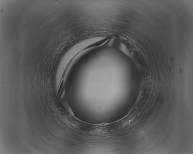 X0000062610750200601111008