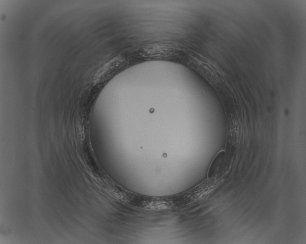 X0000062610751200601111008