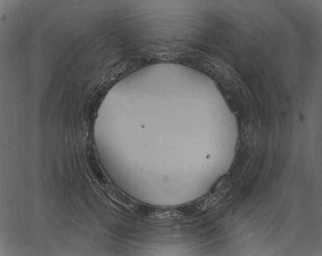 X0000062610752200601111008