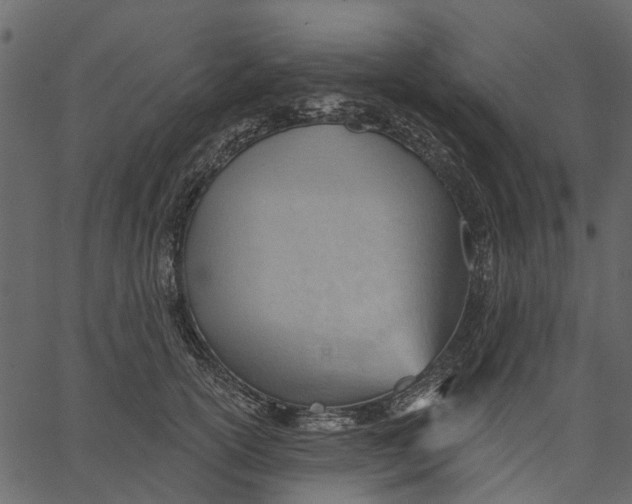 X0000062610754200601111008