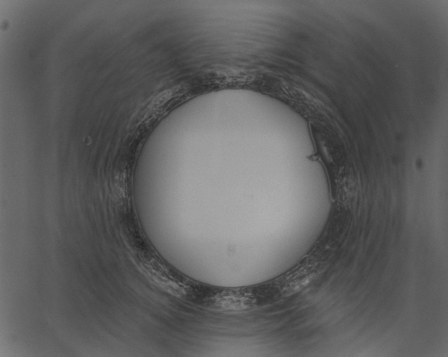 X0000062610756200601111008