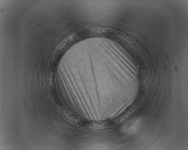 X0000062610758200601111008