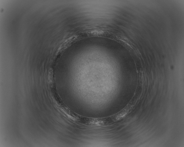 X0000062610760200601111008