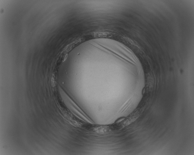 X0000062610761200601111008