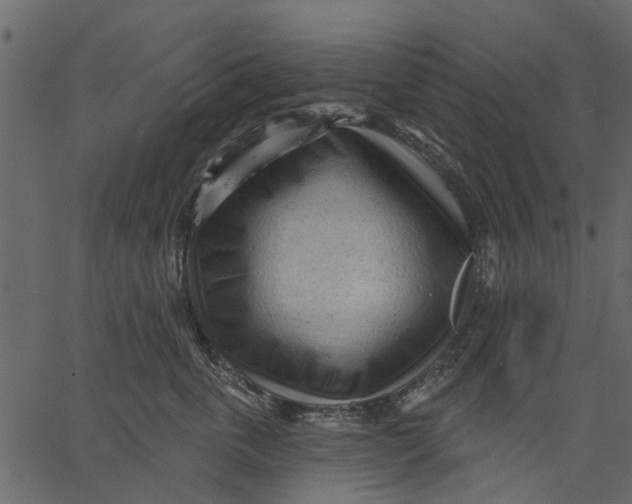 X0000062610763200601111008