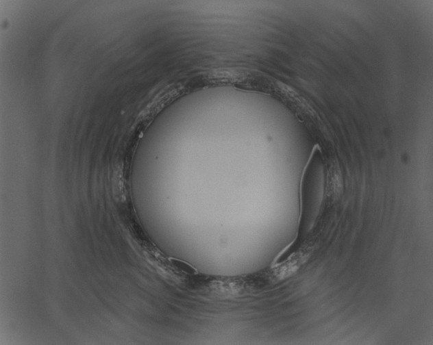 X0000062610764200601111008