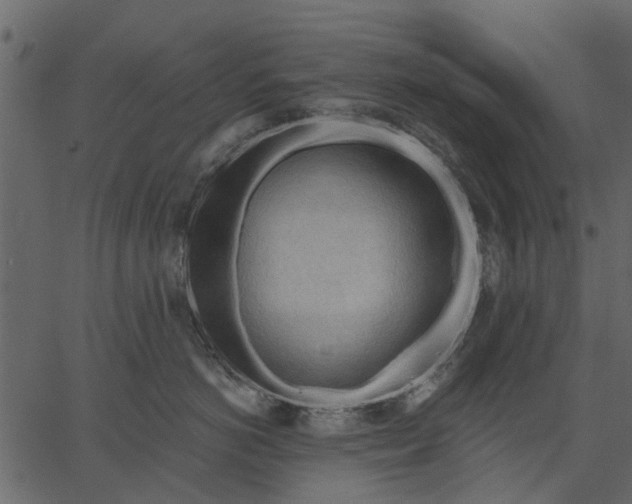 X0000062610766200601111008