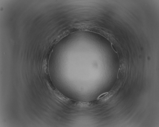 X0000062610767200601111008