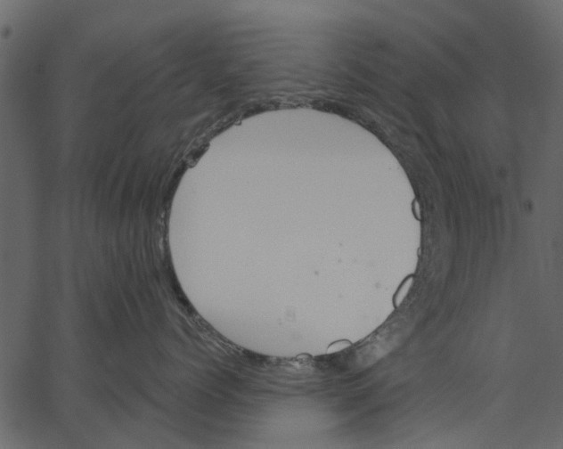 X0000062610768200601111008