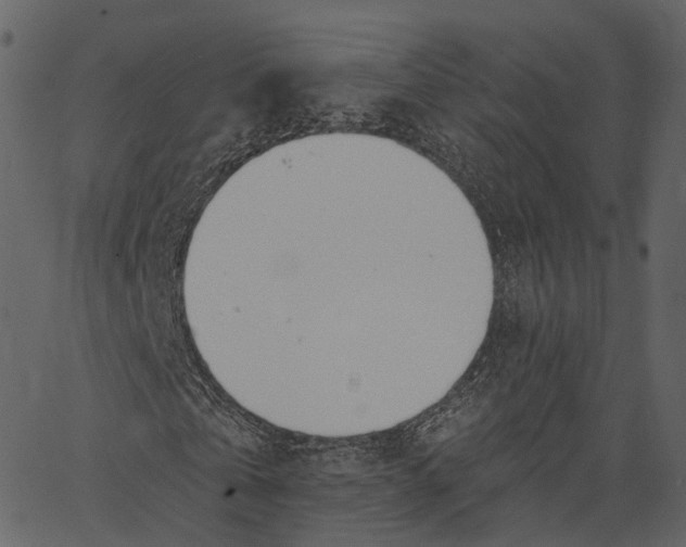 X0000062610769200601111007