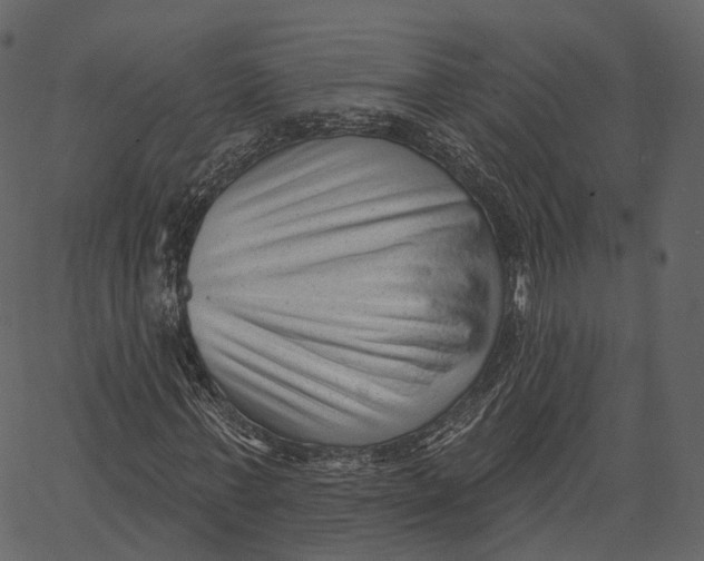 X0000062610771200601111007