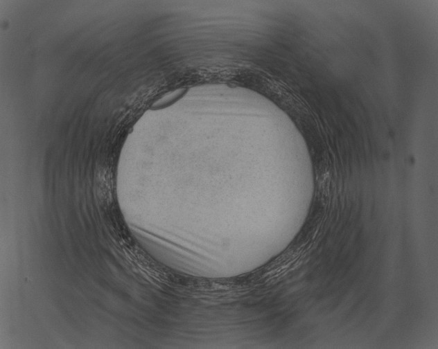 X0000062610772200601111007