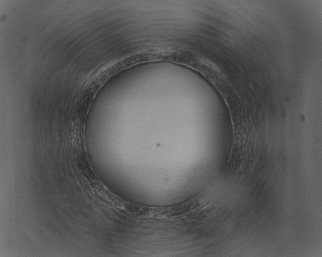 X0000062610773200601111007