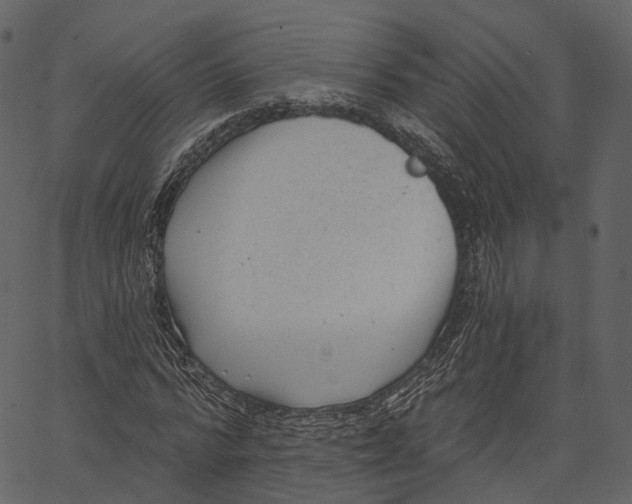 X0000062610776200601111007