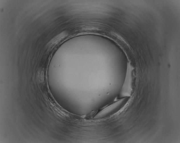 X0000062610777200601111007