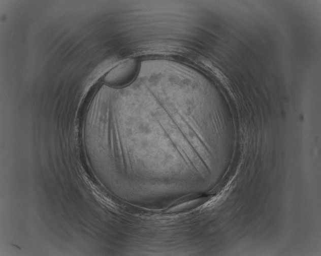 X0000062610779200601111007