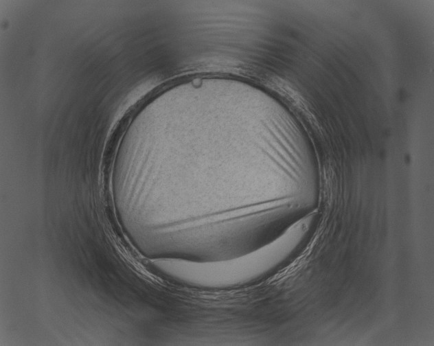 X0000062610780200601111007