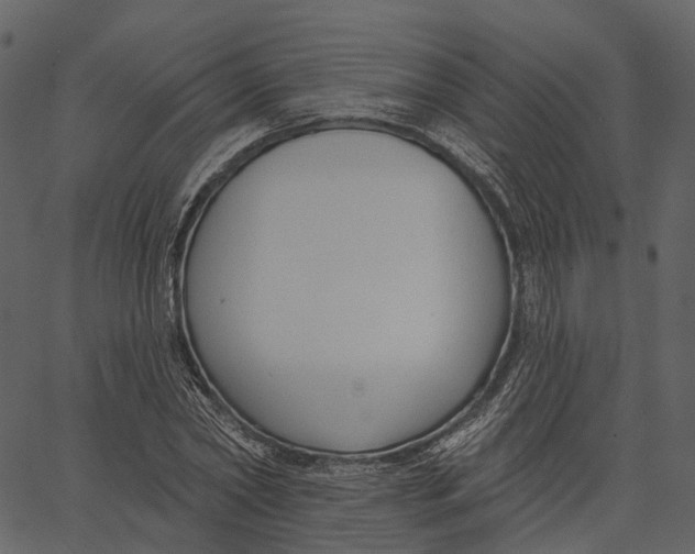 X0000062610782200601111007