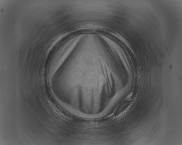 X0000062610783200601111007