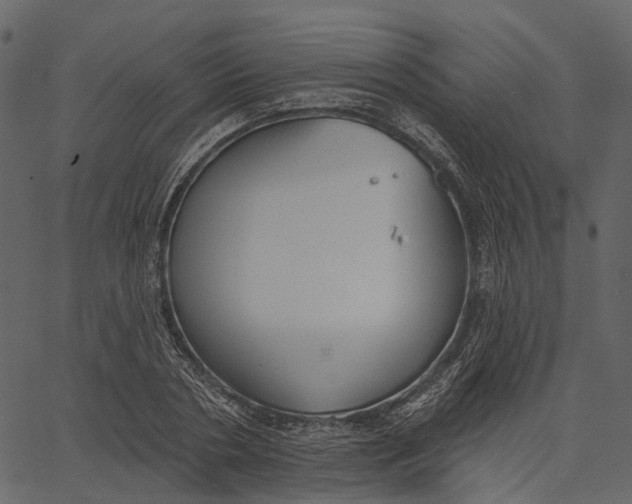 X0000062610786200601111007